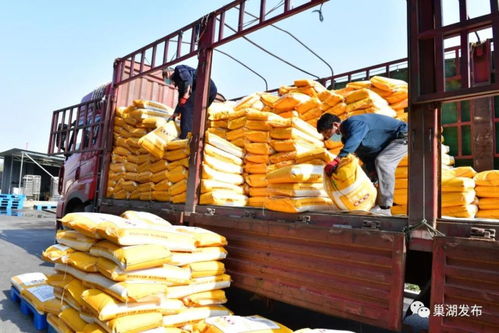 金豪食品 全网锅巴同类销售冠军,一咬 咔嗞 脆响